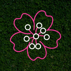 Sakura LED Neon Sign, Cherry Blossom Neon Light,  Wall Decor Sakura LED Neon, Cherry Blossom Light Art, Sakura Theme Light