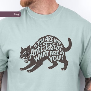 Könnte beinhalten: Hellblaues T-Shirt mit einem dunkelbraunen Katzenmotiv. Das Katzenmotiv enthält den Text "IF YOU ARE NOT ANTI-FASCIST WHAT ARE YOU?" in einer stilisierten Schriftart. Das Shirt besteht aus einem weichen Material.