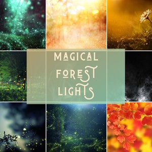 Magical forest photoshop overlays, 17 fireflies & bokeh overlays for photoshop, dreamy lights filter effects for fine art photography