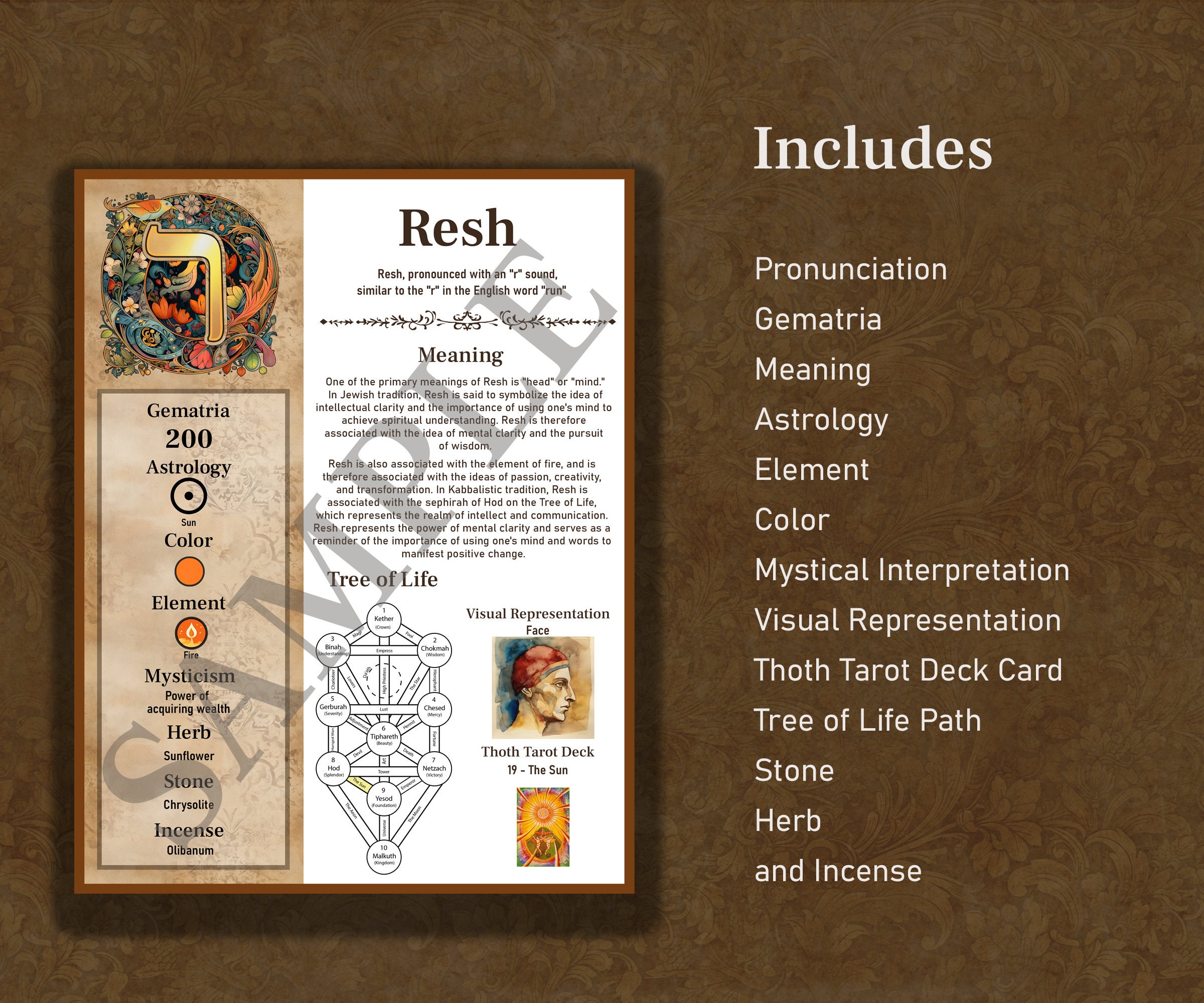 Hebrew Letter Cheat Sheets Printable Guides for Learning Etsy