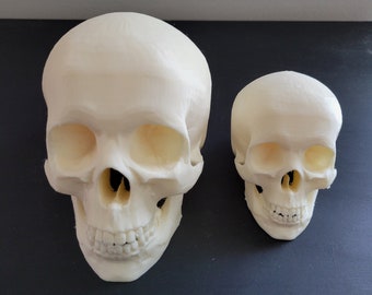 Skeleton Skull 3D printed Halloween Decorations