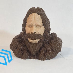 Könnte beinhalten: Eine 3D-gedruckte Figur aus braunem und beigefarbenem Kunststoff, die eine Person mit langem Bart und Haaren darstellt. Die Figur ist ein Büstenporträt eines Kopfes und der Schultern.