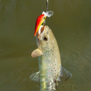 Handmade fishing lure for trout