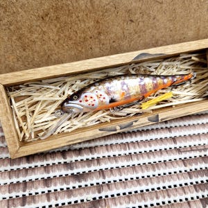 Lot De Gabarits De Pêche à L'achigan – Neufs Ou Très Peu Utilisés – 75 Pièces