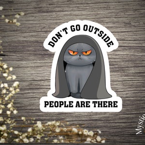 Funny Don’t Go Outside Sticker | Laptop Sticker | Vinyl Die Cut Sticker | Water Bottle Decal | Laminated Sticker | Car Decal