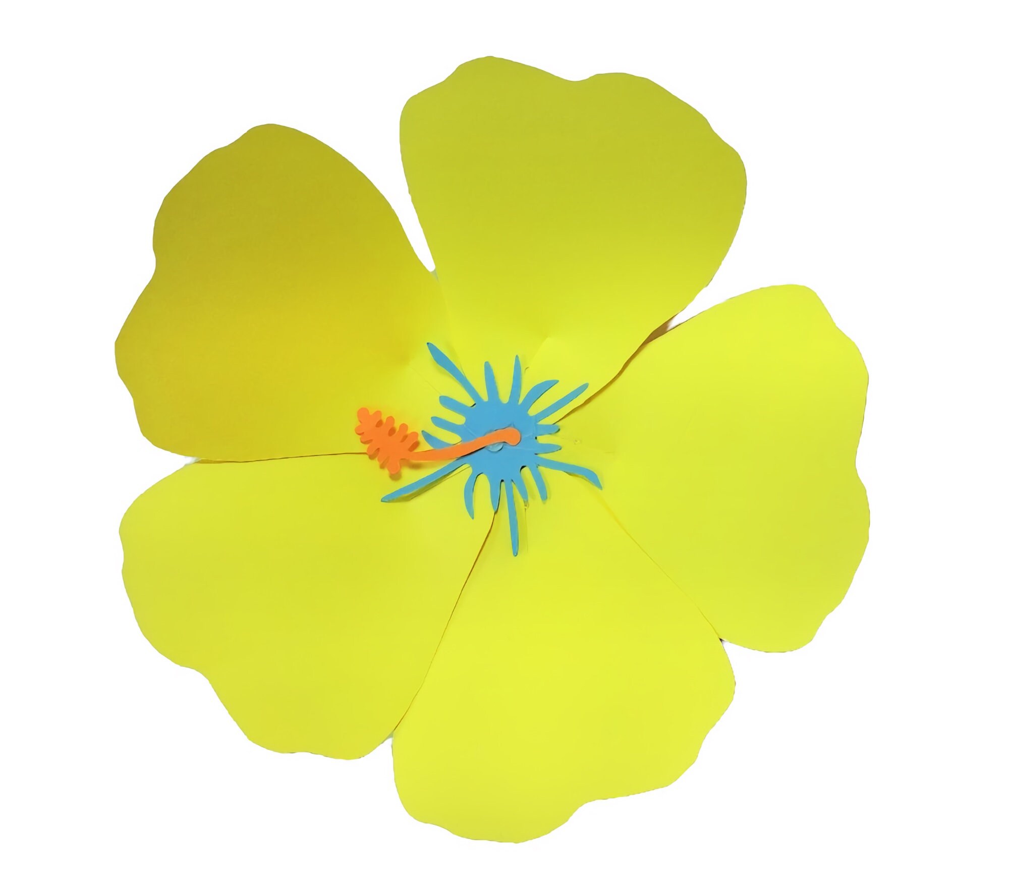 Hibiscus Flowers SVG Tropical Flowers SVG Flowers SVG Tropical Wedding