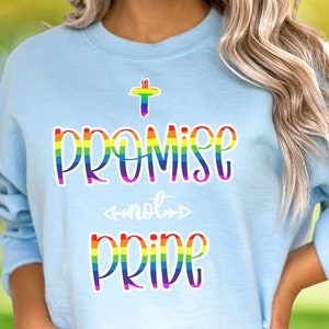 Promise Not Pride Rainbow Sweatshirt Take Back The Rainbow Promise Not Pride Christian Sweatshirt Christian Rainbow Genesis Rainbow Sweater