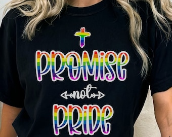 Promise Not Pride Comfort Colors Shirt Take Back The Rainbow Genesis 9:16 Christian Rainbow Gods Rainbow Gods Covenant Genesis Rainbow