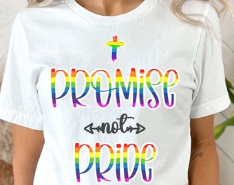Promise Not Pride Shirt Take Back The Rainbow Genesis 9:16 Christian Rainbow Gods Rainbow Gods Covenant Genesis Rainbow