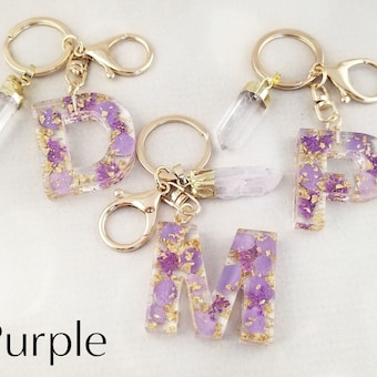 vanessafindlay image