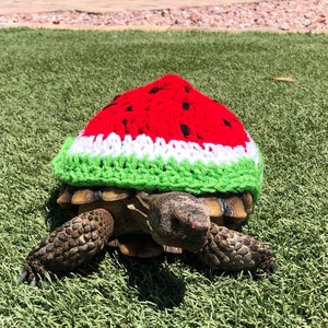 Crochet Watermelon Tortoise Cozy/Sweater