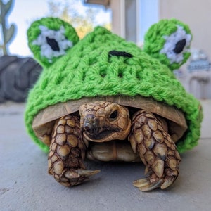 Crochet Frog Tortoise Cozy