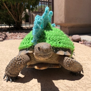 Crochet Tortoise Dino Cozy/Sweater