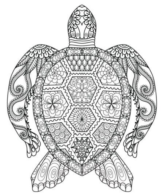 Turtle Mandala Coloring Pages