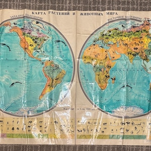 Vintage USSR originele educatieve kaart 1988
