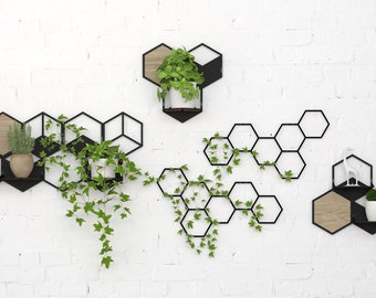 Oversized Wall Decor Metal, Honeycomb Wall Planter Set, Hexagon Planter Shelf, Wall Hanging Planters Indoor, Geometric Hanging Planter