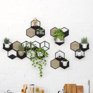 Puede incluir: Armarios de cocina blancos con una estantería geométrica de metal negro con plantas en macetas en una pared de ladrillo blanco.