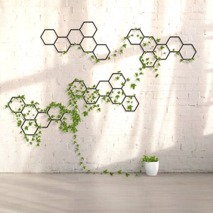 May include: A white brick wall with a black metal hexagonal trellis design. The trellis is covered in green ivy vines. A small potted plant sits on the floor in front of the wall.