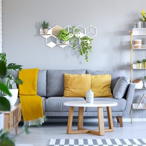 Hexagon wall planters set, Home plant decor inspirations, Ivy plant decor, Indoor plant trellis, Wall pot holder, Plant wall decoration image 3