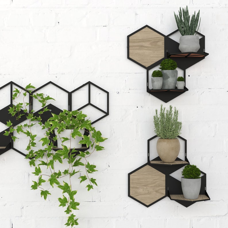 Hexagon wall planters set, Home plant decor inspirations, Ivy plant decor, Indoor plant trellis, Wall pot holder, Plant wall decoration image 4