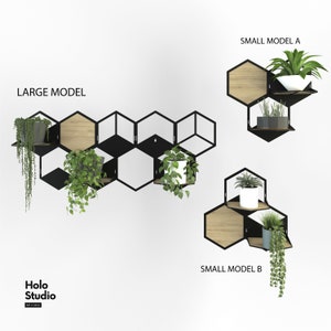 Hexagon wall planters set, Home plant decor inspirations, Ivy plant decor, Indoor plant trellis, Wall pot holder, Plant wall decoration image 6