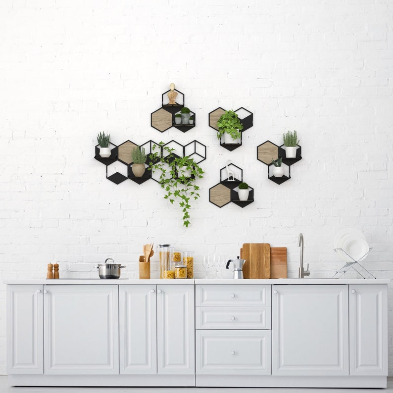 Hexagon wall planters set, Home plant decor inspirations, Ivy plant decor, Indoor plant trellis, Wall pot holder, Plant wall decoration image 1