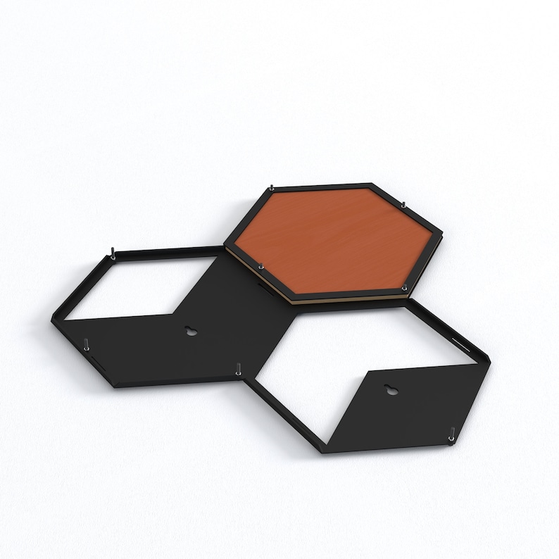 Hexagon wall planters set, Home plant decor inspirations, Ivy plant decor, Indoor plant trellis, Wall pot holder, Plant wall decoration image 5