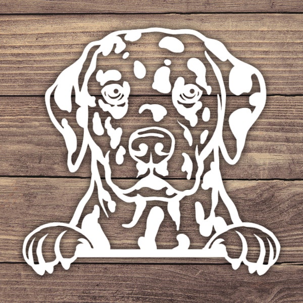 Dalmatian Peeking Decal, Dog Decal, Dog Sticker, Puppy Bumper Sticker, Playful Peek Stickers, Dalmatian Decal, Dalmatian Sticker