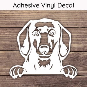 Dachshund Peeking Decal, Wiener Dog Decal, Dog Sticker, Puppy Bumper Sticker, Playful Peek Stickers, Dachshund Decal, Dachshund Sticker