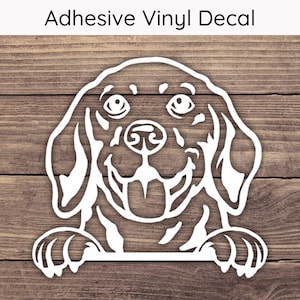 Beagle Peeking Aufkleber, Hund Vinyl-Aufkleber, Welpen Autoaufkleber, Verspielte Peek Aufkleber, Beagle Aufkleber, Beagle Aufkleber, Hund Mama Aufkleber, Hunde Aufkleber