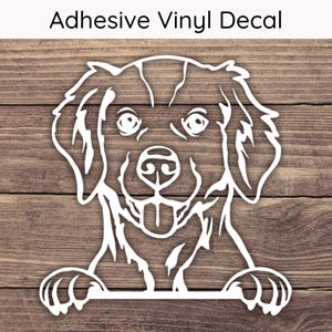Brittany Spaniel Peeking Decal, Dog Vinyl Decals, Puppy Bumper Sticker, Playful Peek Stickers, Brittany Spaniel Decal, Spaniel Sticker