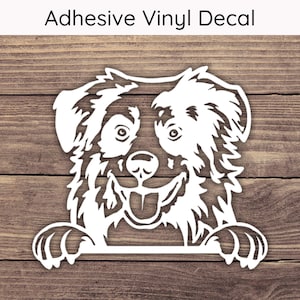 Australian Shepherd Peeking Decal, Dog Vinyl Decals, Aussie Bumper Sticker, Playful Peek Stickers, Aussie Decal, Australian Shepherd Decal