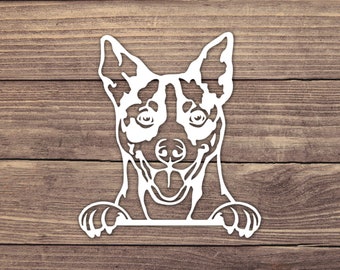 Rat Terrier Peeking Decal, Dog Vinyl Decals, Puppy Bumper Sticker, Playful Peek Stickers