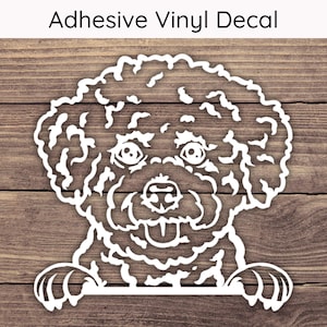 Bichon Frise Peeking Decal, Dog Vinyl Decals, Puppy Bumper Sticker, Playful Peek Stickers, Bichon Decal, Bichon Sticker, Cute Dog Mom Decal