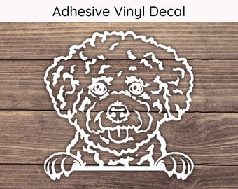 Bichon Frise Peeking Decal, Dog Vinyl Decals, Puppy Bumper Sticker, Playful Peek Stickers, Bichon Decal, Bichon Sticker, Cute Dog Mom Decal