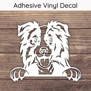 Border Collie Peeking Decal, Dog Vinyl Decals, Puppy Bumper Sticker, Playful Peek Stickers, Border Collie Decal, Border Collie Sticker