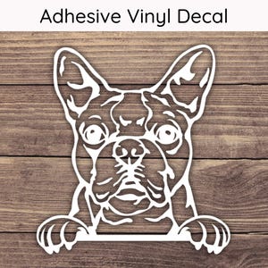 Boston Terrier Peeking Decal, Dog Vinyl Decals, Puppy Bumper Sticker, Playful Peek Stickers, Boston Terrier Decal, Boston Terrier Sticker