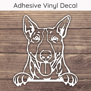 Bull Terrier Peeking Decal, Puppy Bumper Sticker, Playful Peek Stickers, Bull Terrier Decal, Bull Terrier Sticker, Dog Decal, Dog Sticker