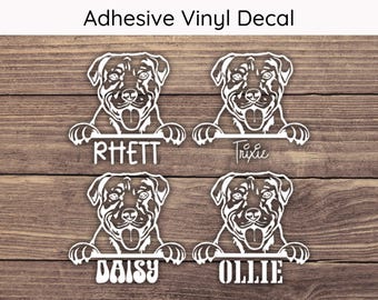 American Pitbull Name Decal, American Pitbull Decal, Dog Decal, Dog Sticker, Custom Dog Name Decal, Peeking Dog Decal, Pitbull Name Decal