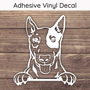English Bull Terrier Peeking Decal, Bull Terrier Decal, Bull Terrier Sticker, Dog Decal, Dog Sticker, Peeking Dog Decal, Puppy Decal