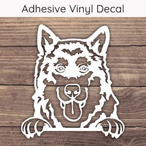Alaskan Malamute Peeking Decal, Dog Vinyl Decals, Sled Dogs Bumper Sticker, Cute Puppy Decal, Playful Peek Stickers, Alaskan Malamute Decal