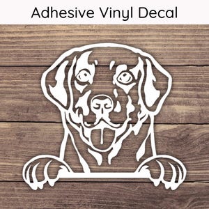 Labrador Retriever Peeking Decal, Lab Dog Vinyl Decals, Puppy Bumper Sticker, Playful Peek Stickers