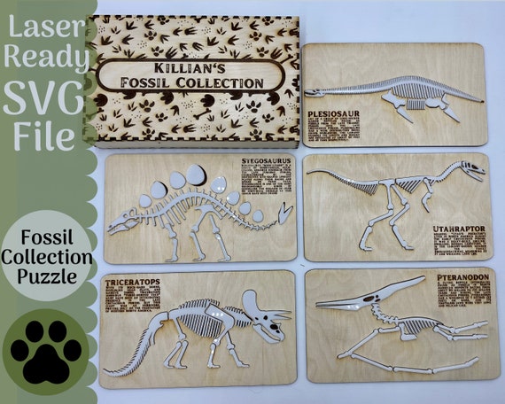 thumbnail image 2 of RNK Shops Personalized Dinosaurs Waste Basket - Double Sided (Black 2 of 12