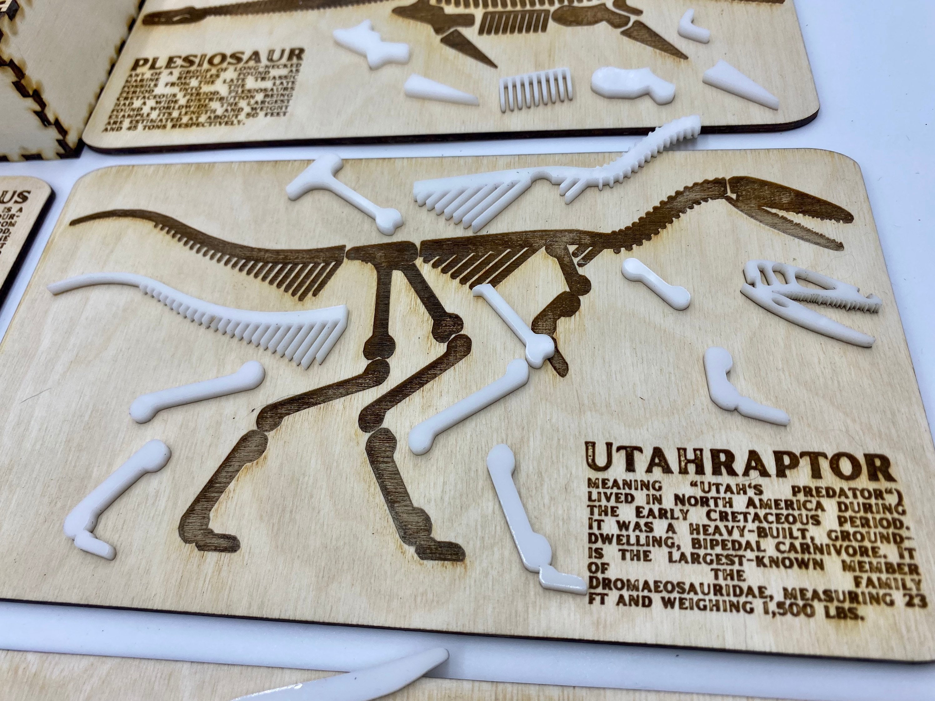 Dinosaur Fossil Puzzle SVG File for and Laser Etsy UK