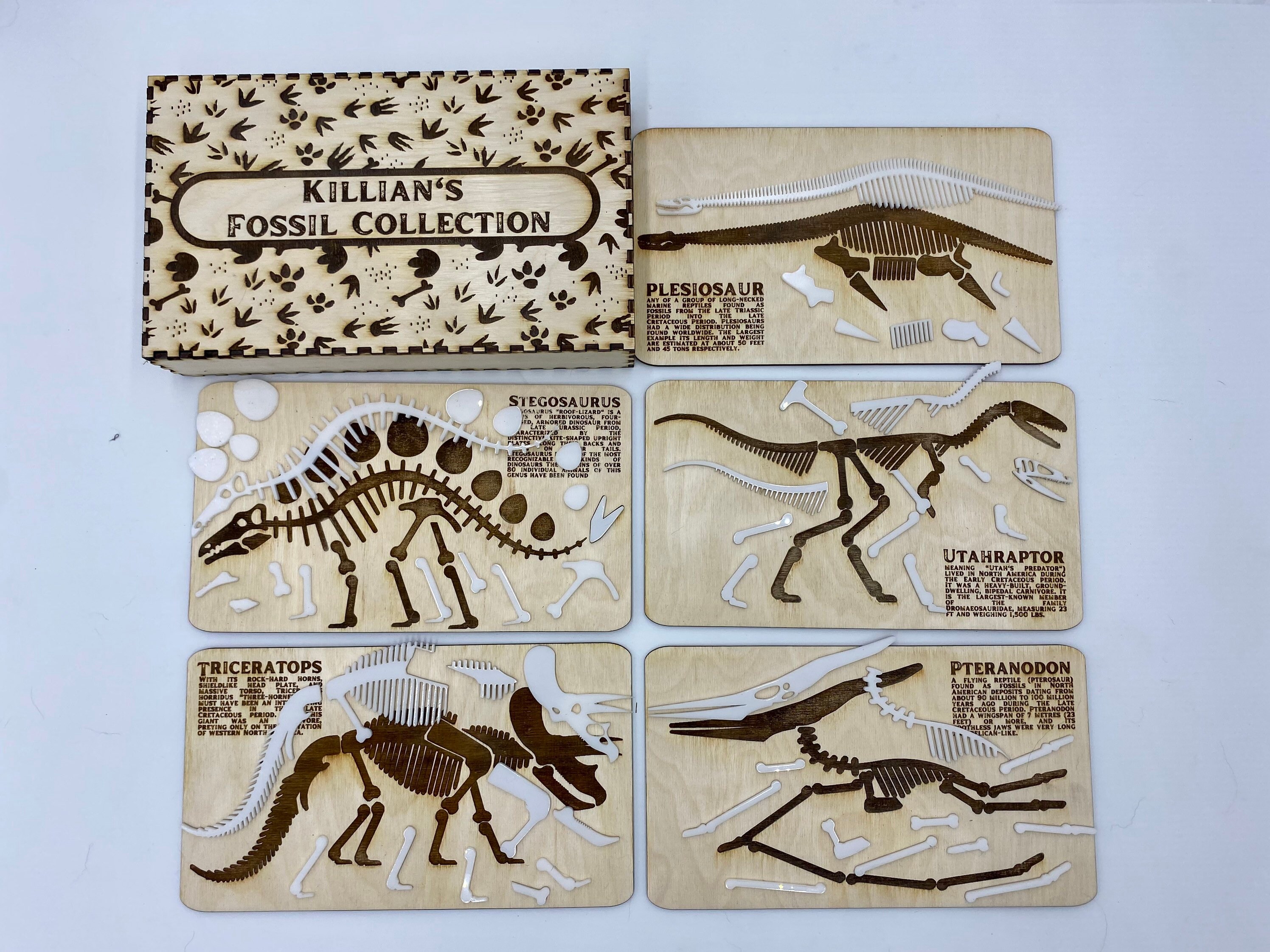 Dinosaur Fossil Puzzle Svg File For Glowforge And Laser Etsy