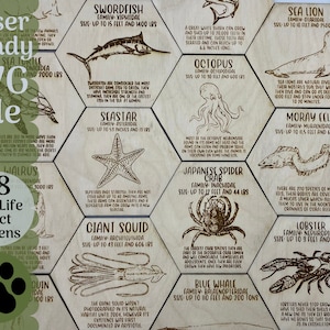 Sea LifeFact Token Bundle SVG file for Glowforge and Laser Cutters, 18 Sea Life SVG Files for Magnets Collectibles Craft Projects Glowforge