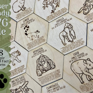 Jungle Animal Fact Token Bundle SVG file for Glowforge and Laser Cutters, 18 Jungle Animal SVG Files for Magnets Collectibles Craft Projects