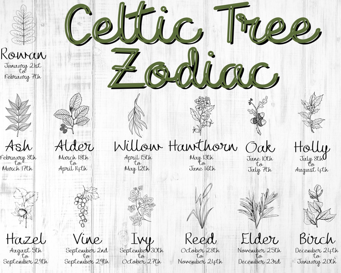 Mother Sign Celtic Birth Tree SVG File for Laser Cutters, Glowforge ...