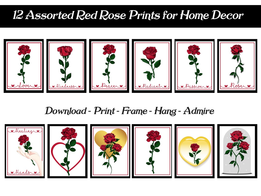 Red Roz Print Red Rose Digital Print | 12 Red Rose PNG Images ZIP File Plus 12 Red ...