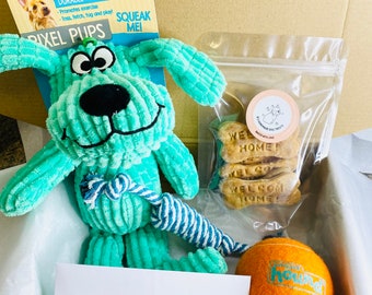 one time dog gift box